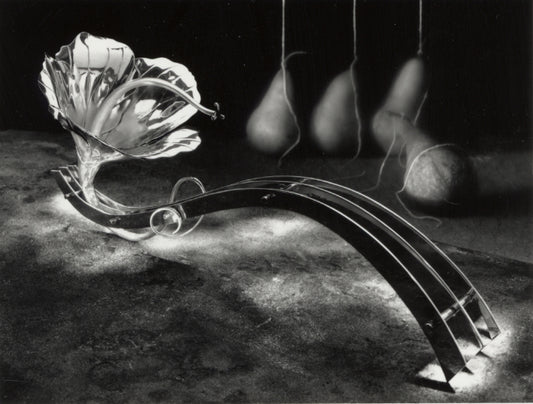 Hibiscus beverage ladle