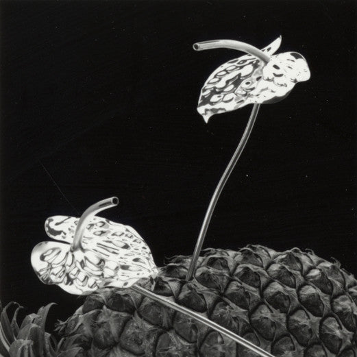 sterling silver antherium drinking straw